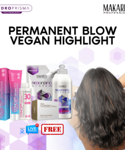 Paket Webinar Permanent Blow Highlight